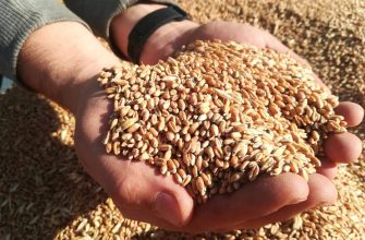 Программы помощи малым фермерским хозяйствам Харьковщины