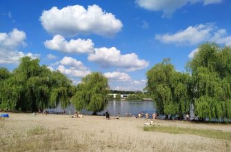 Будет ли разрешено купаться и проводить отдых на пляжах Харьковской области в этом году? 75 будут ли разрешены купание и отдых на пляжах Харьковской области