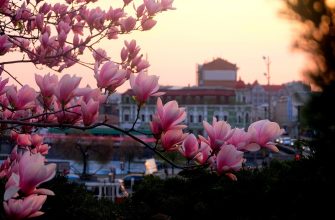 Делегация из Харькова совершила поездку в город Брно