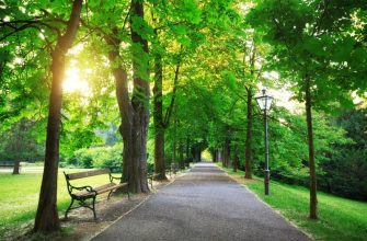 Во Львовской области будет создан парк в память о жертвах оккупации на Харьковщине 12 Во Львовской области будет создан парк, посвященный памяти жертв оккупации на Харьковщине